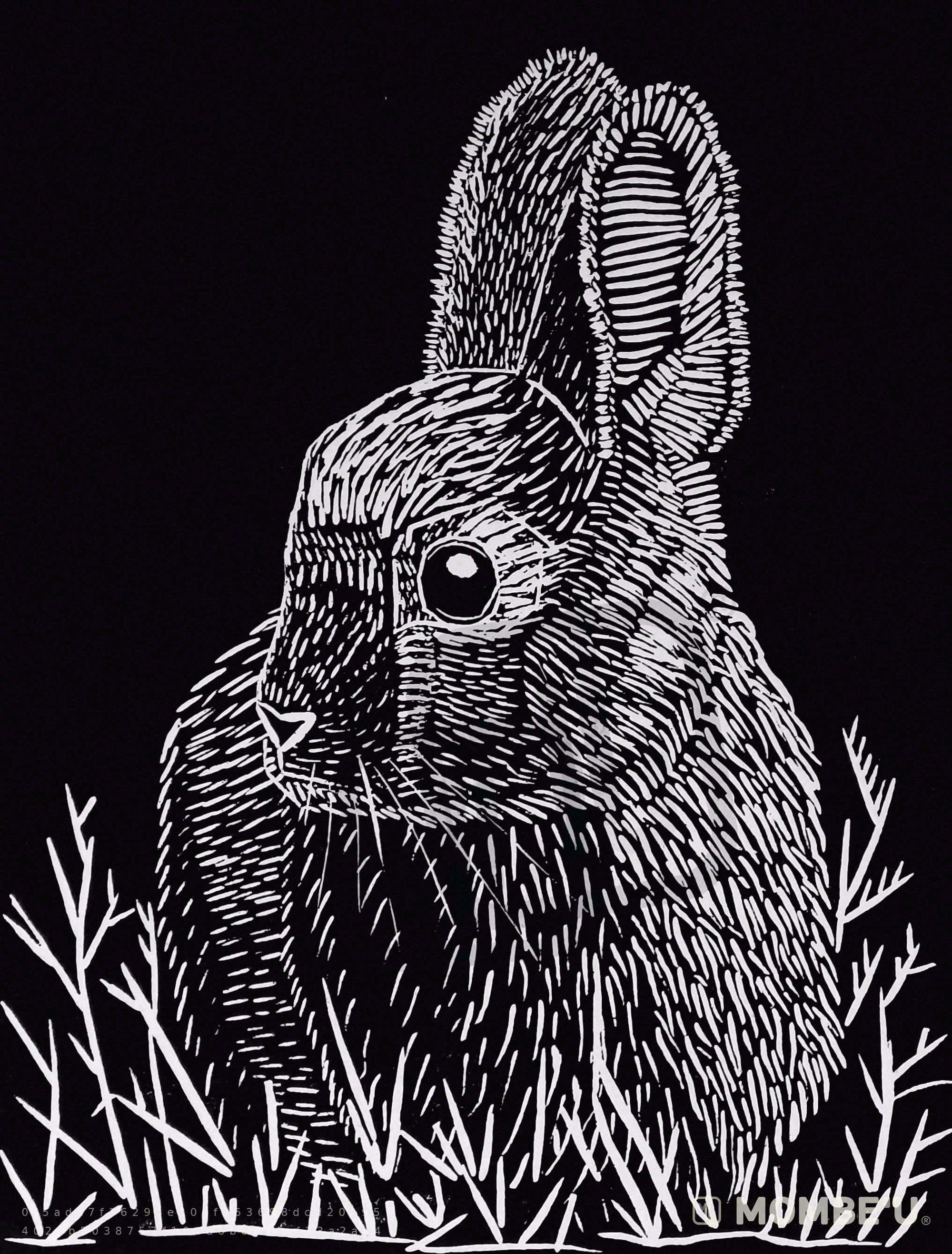 Conejo