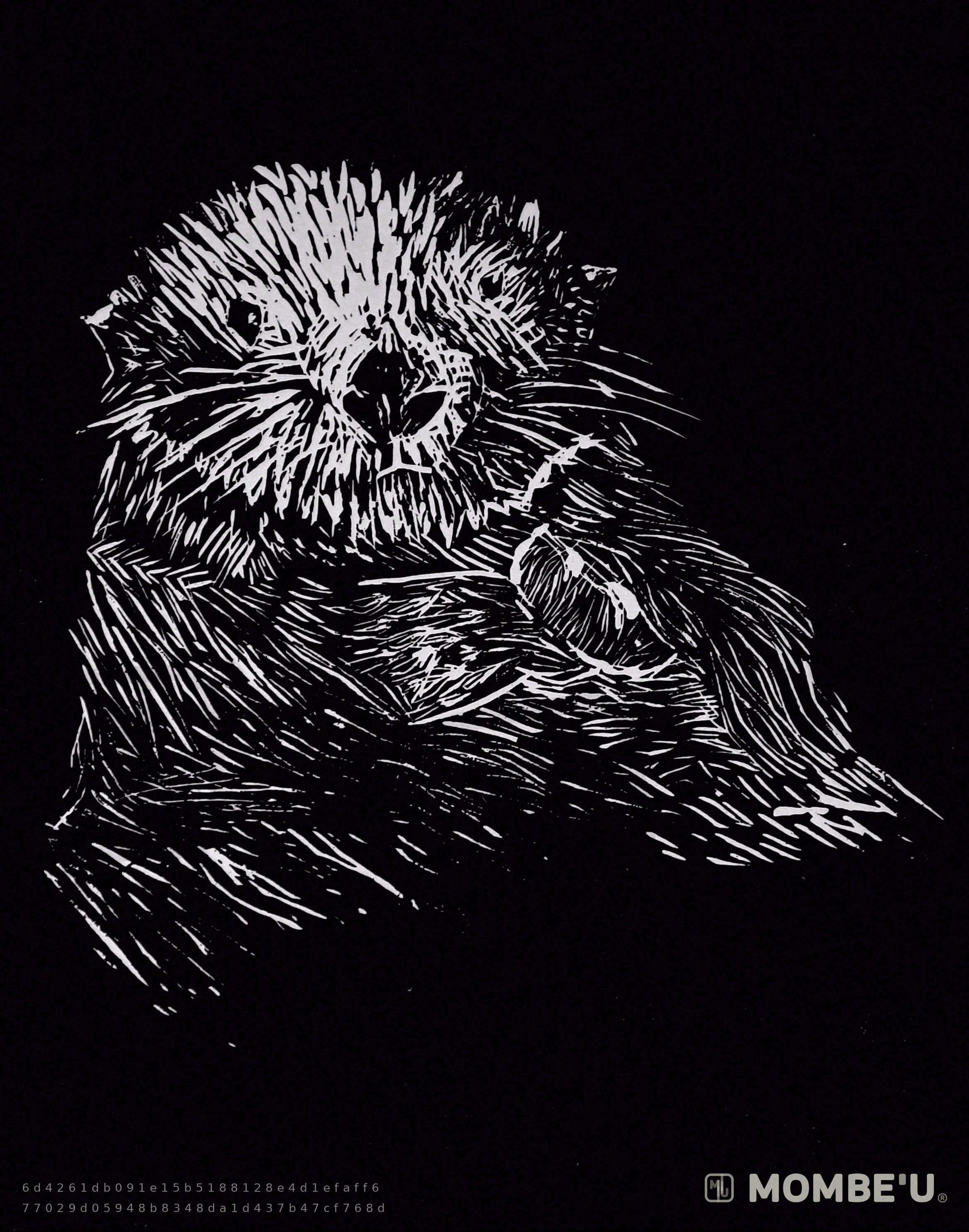 Lontra