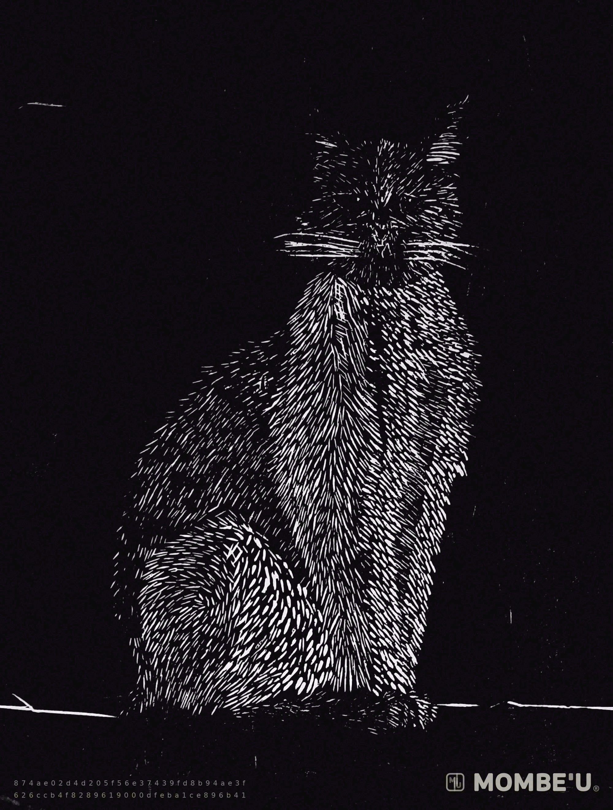 Mirada del silencio