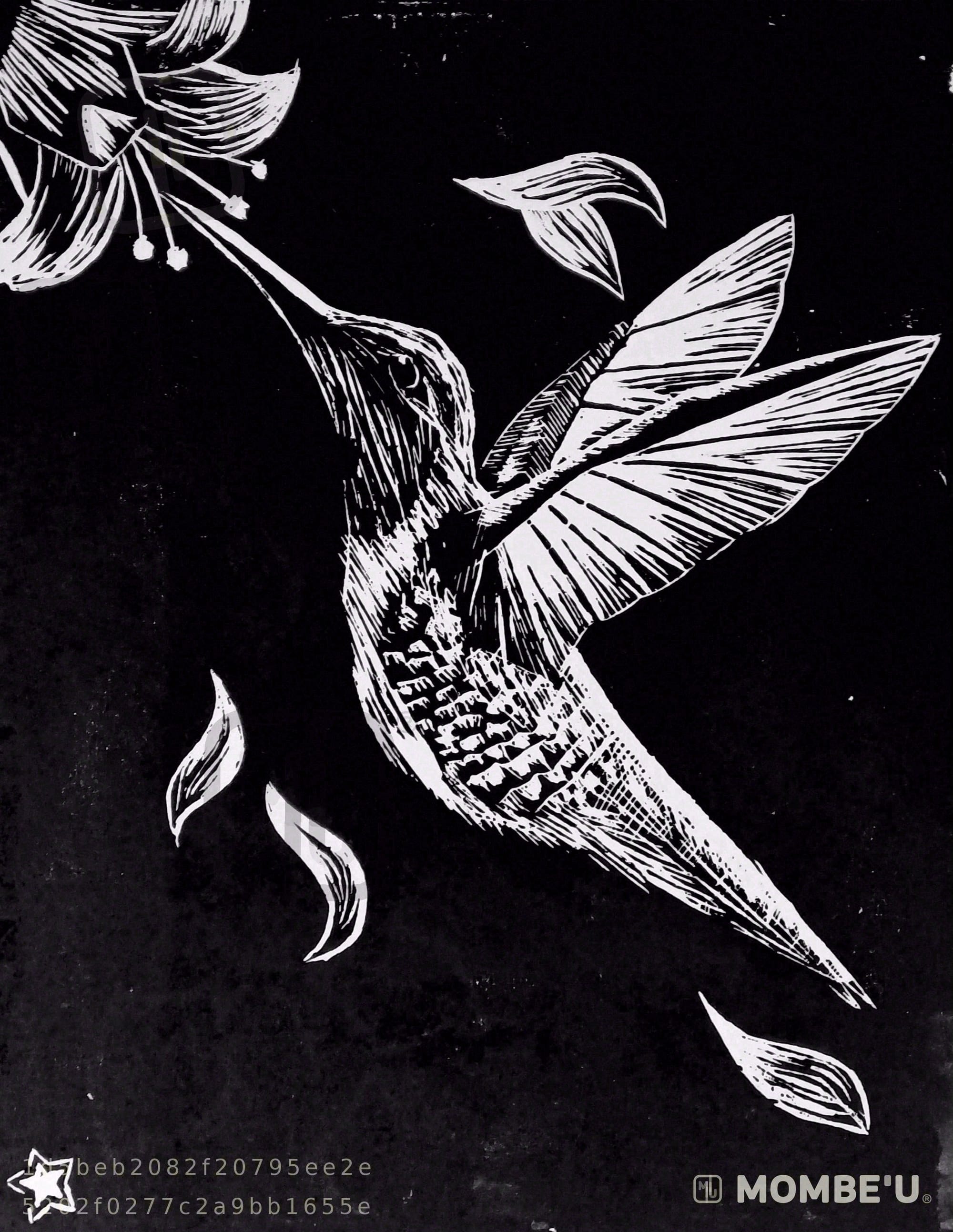 Colibri