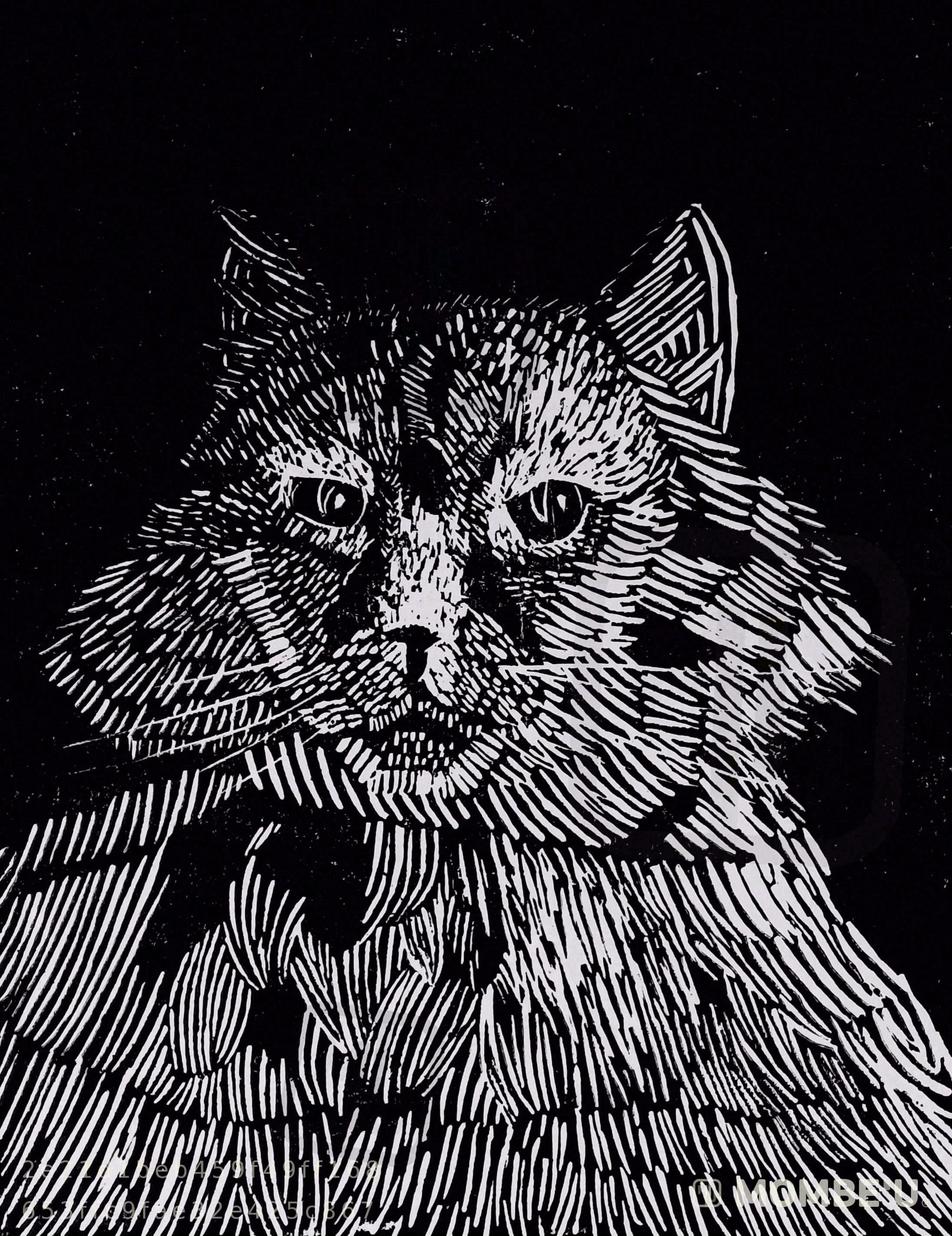Mirada