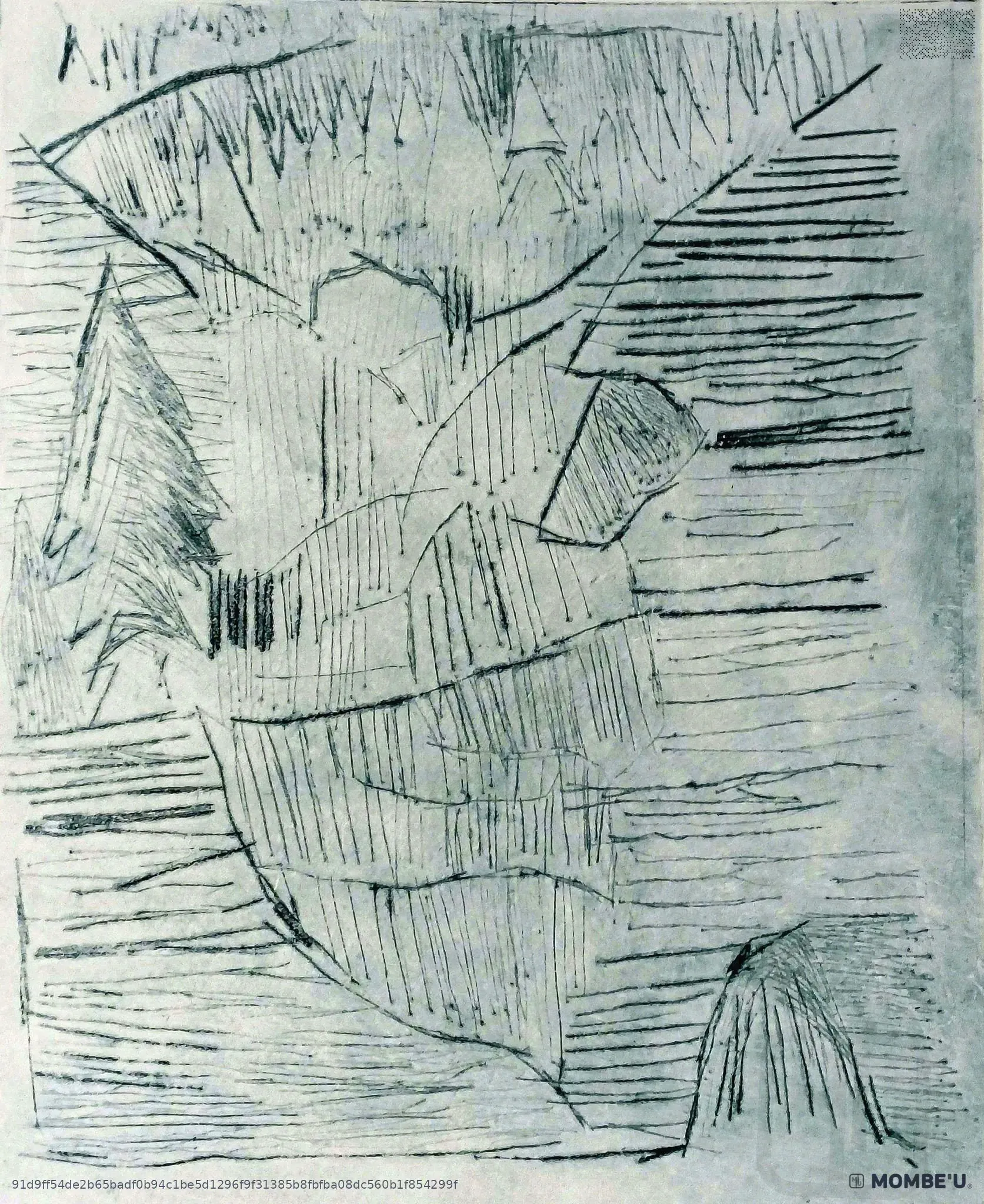 Monte Everest español