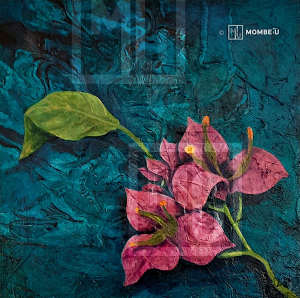 El jardín cromático 4 / Bugambilia 2