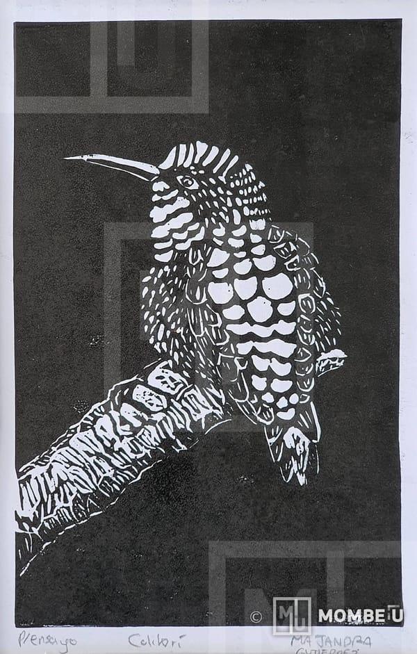 Colibrí