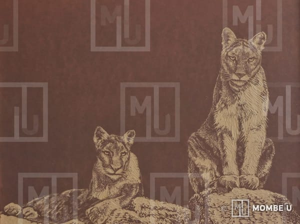 Una generación felina andina