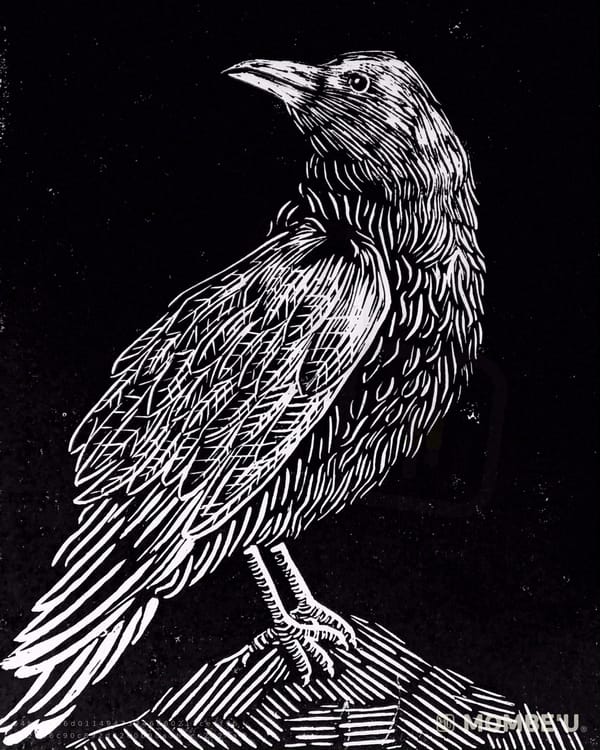 Plumas negras