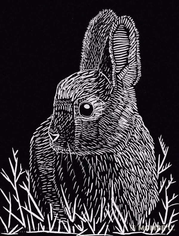 Conejo