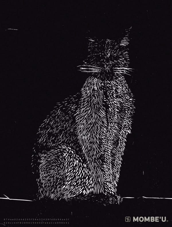 Mirada del silencio