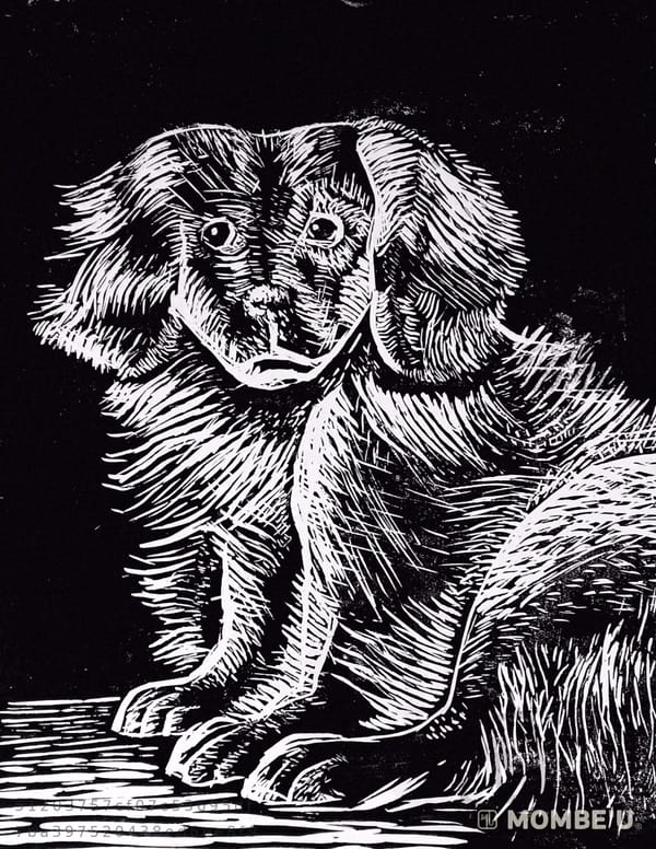Mi luz