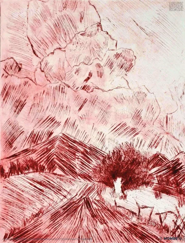 S/T